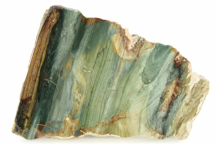 Gary Green Jasper (Larsonite) Bog Wood Slab - Oregon #263400